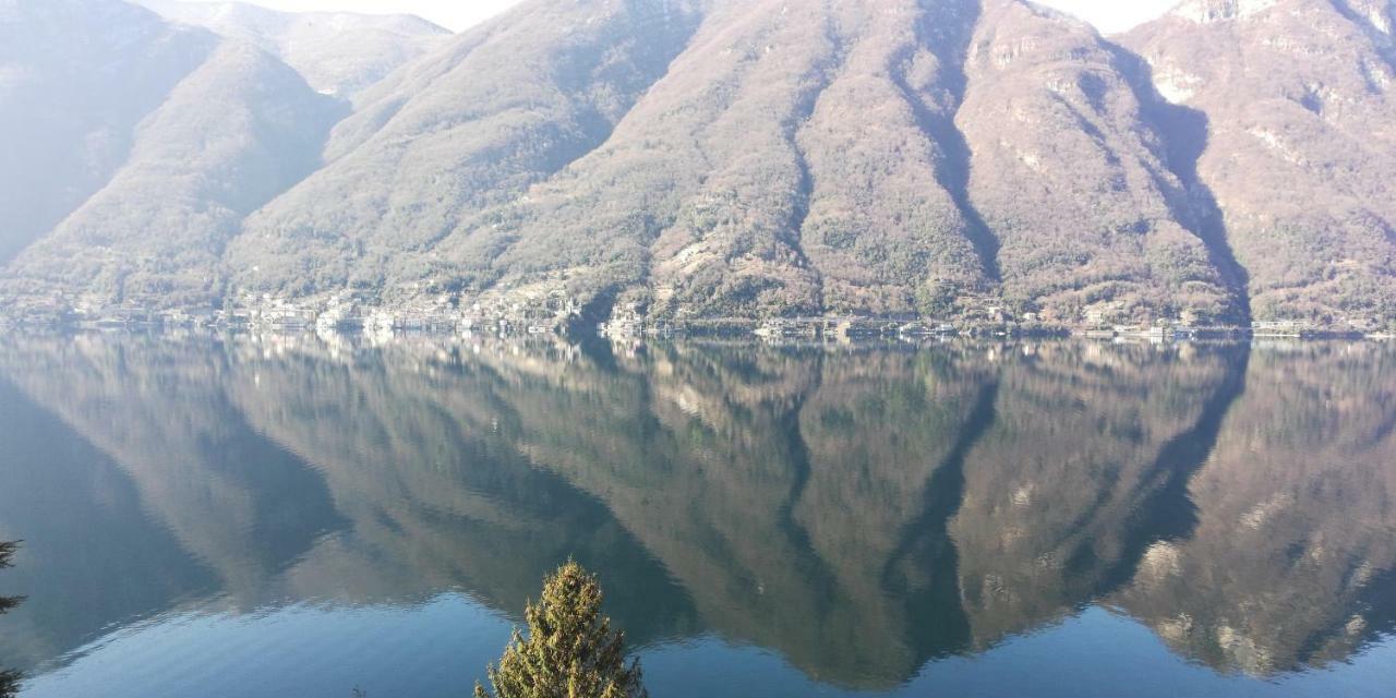 Giardino Sul Lago, La Vigna 内索 外观 照片